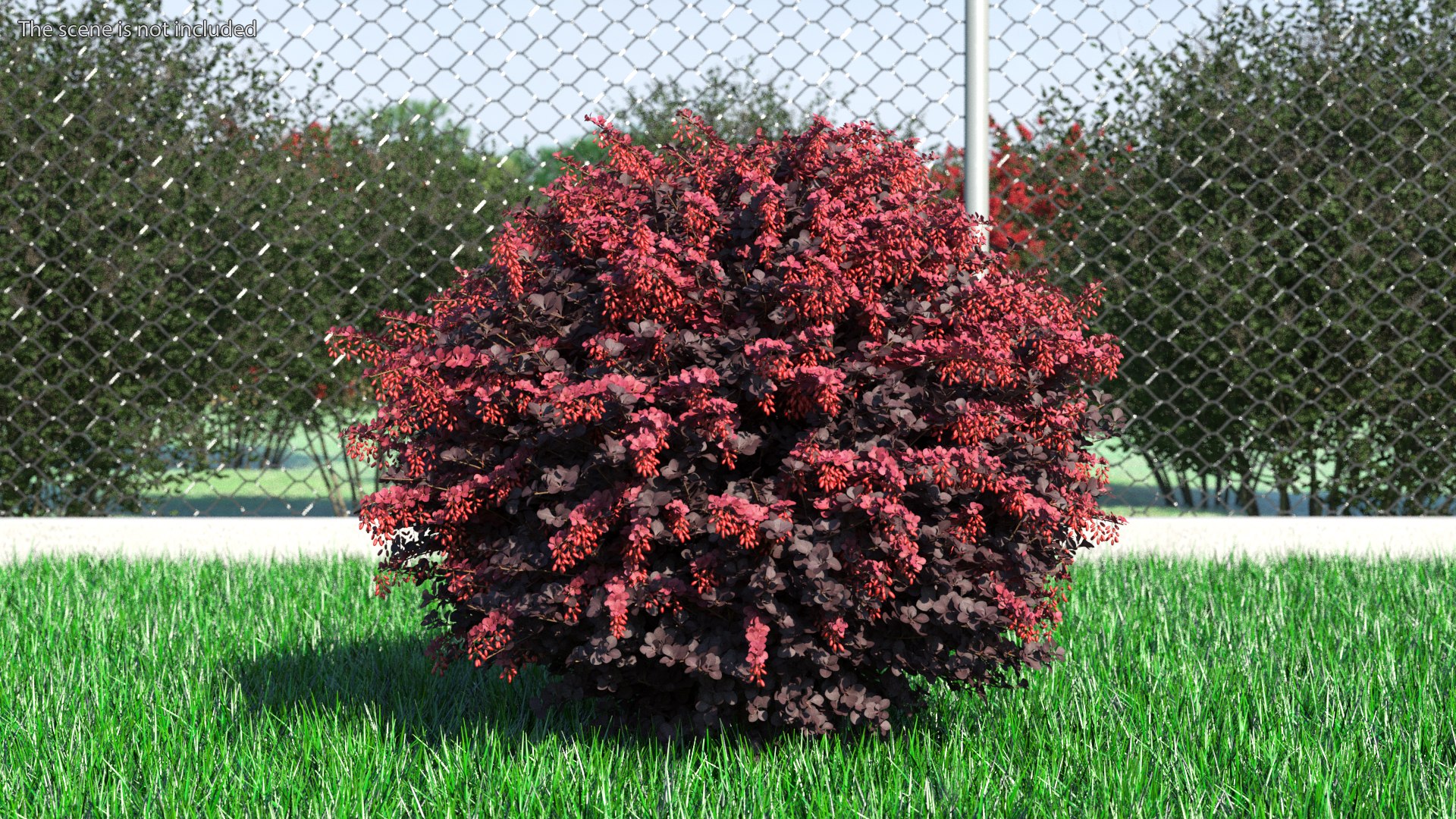 Bushes Collection 8 3D model https://p.turbosquid.com/ts-thumb/zp/4HtFkf/za/bushescollection83dmodel099/jpg/1690790790/1920x1080/fit_q87/7ca0d8f47cb2473fb0fb7c034d31e6ca0c6799d0/bushescollection83dmodel099.jpg