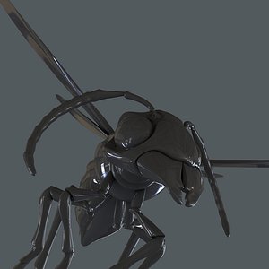 3d model hornet