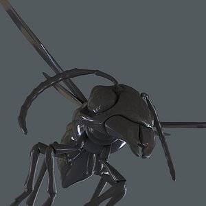 hornet