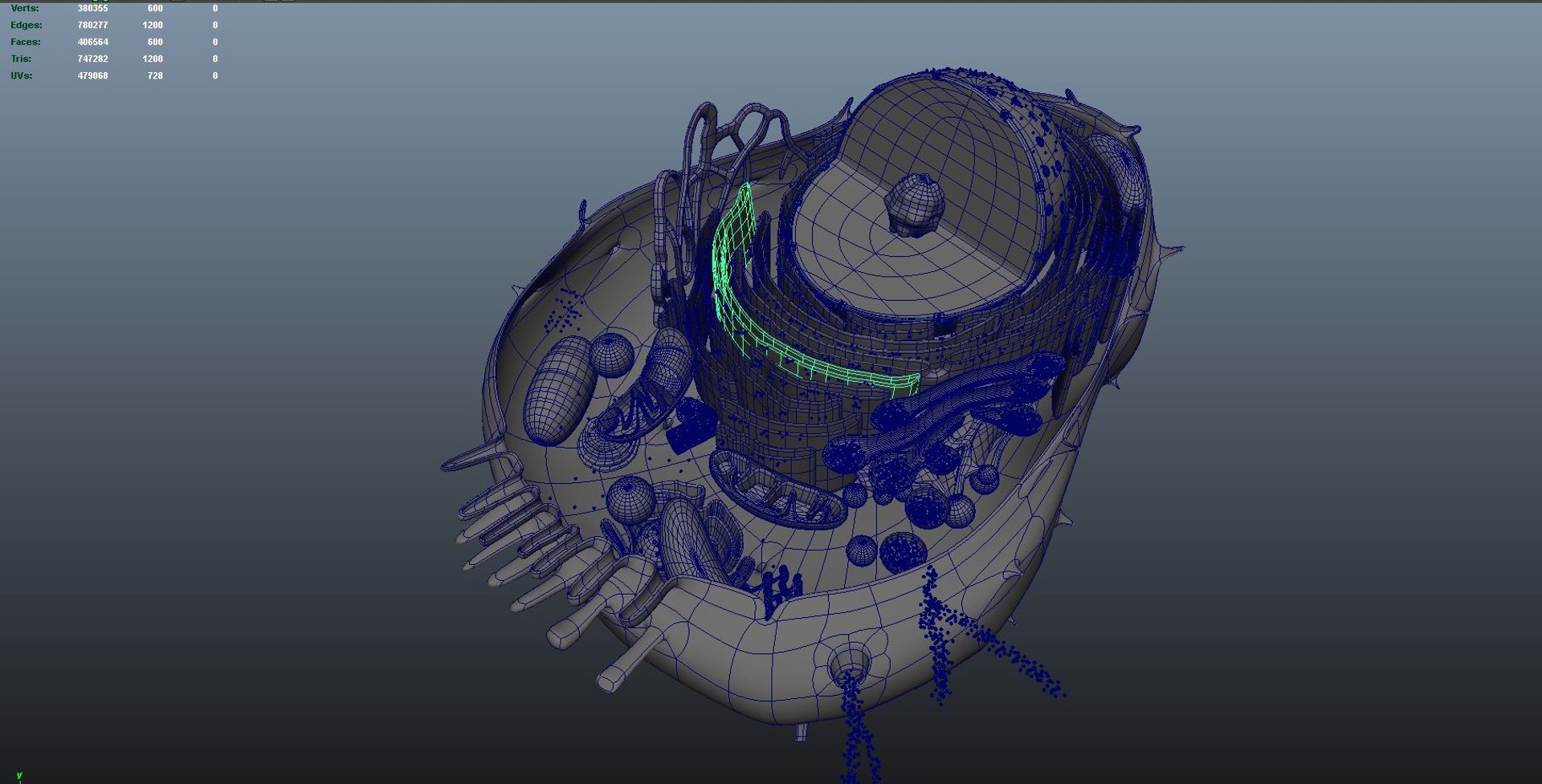 animal cell anatomy 3D model https://p.turbosquid.com/ts-thumb/zp/GdJBmK/8o/wire01/jpg/1639293260/1920x1080/fit_q87/e07e60474b80922a0682297f9c162d8097af54c5/wire01.jpg
