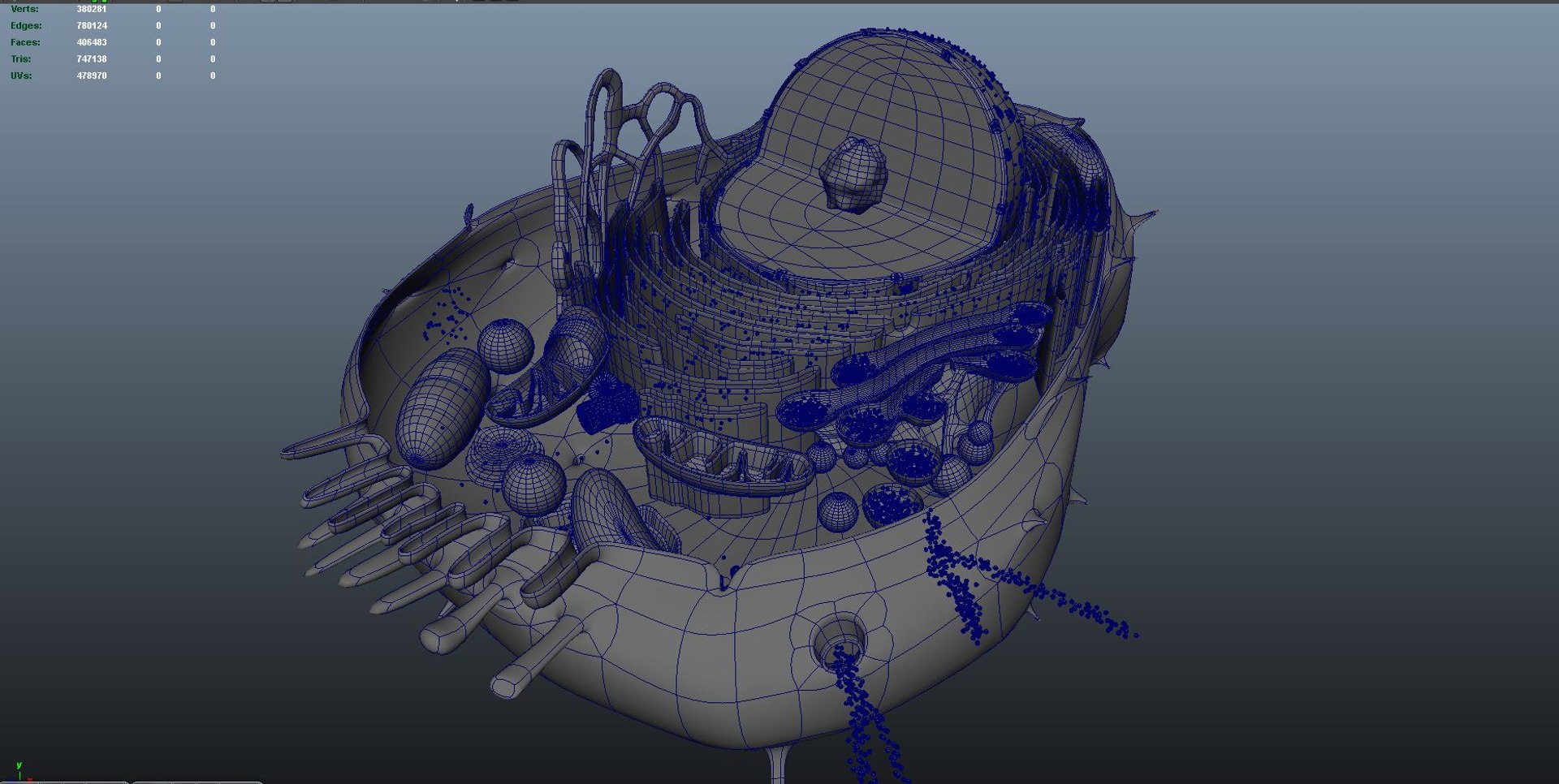 animal cell anatomy 3D model https://p.turbosquid.com/ts-thumb/zp/GdJBmK/Mc/wire04/jpg/1639293260/1920x1080/fit_q87/84ef7b35b770750b170710b20f9fc23d73f89b4b/wire04.jpg