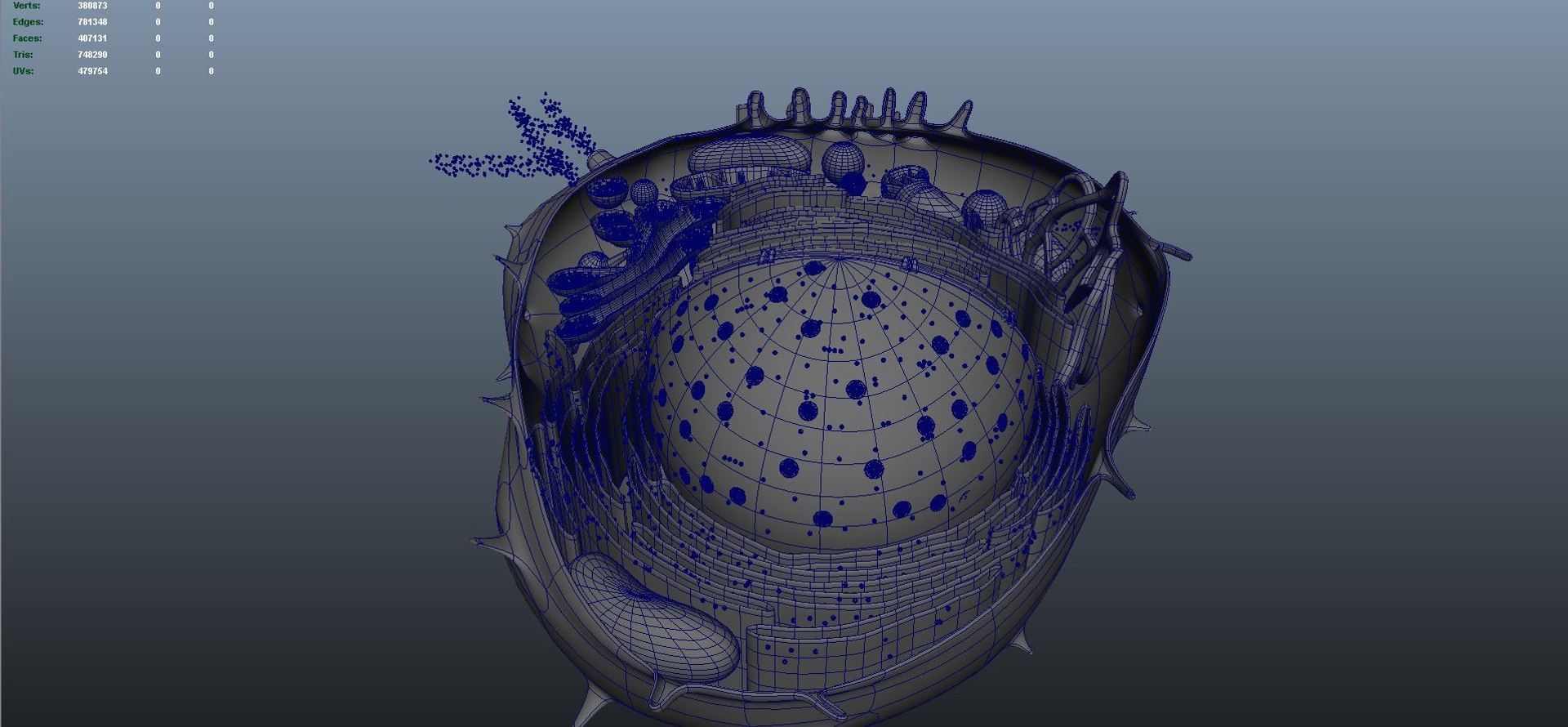 animal cell anatomy 3D model https://p.turbosquid.com/ts-thumb/zp/GdJBmK/Oe/wire02/jpg/1639293261/1920x1080/fit_q87/fa6fc040aeb6022e1ba4cc4174c5943b9951c1bf/wire02.jpg