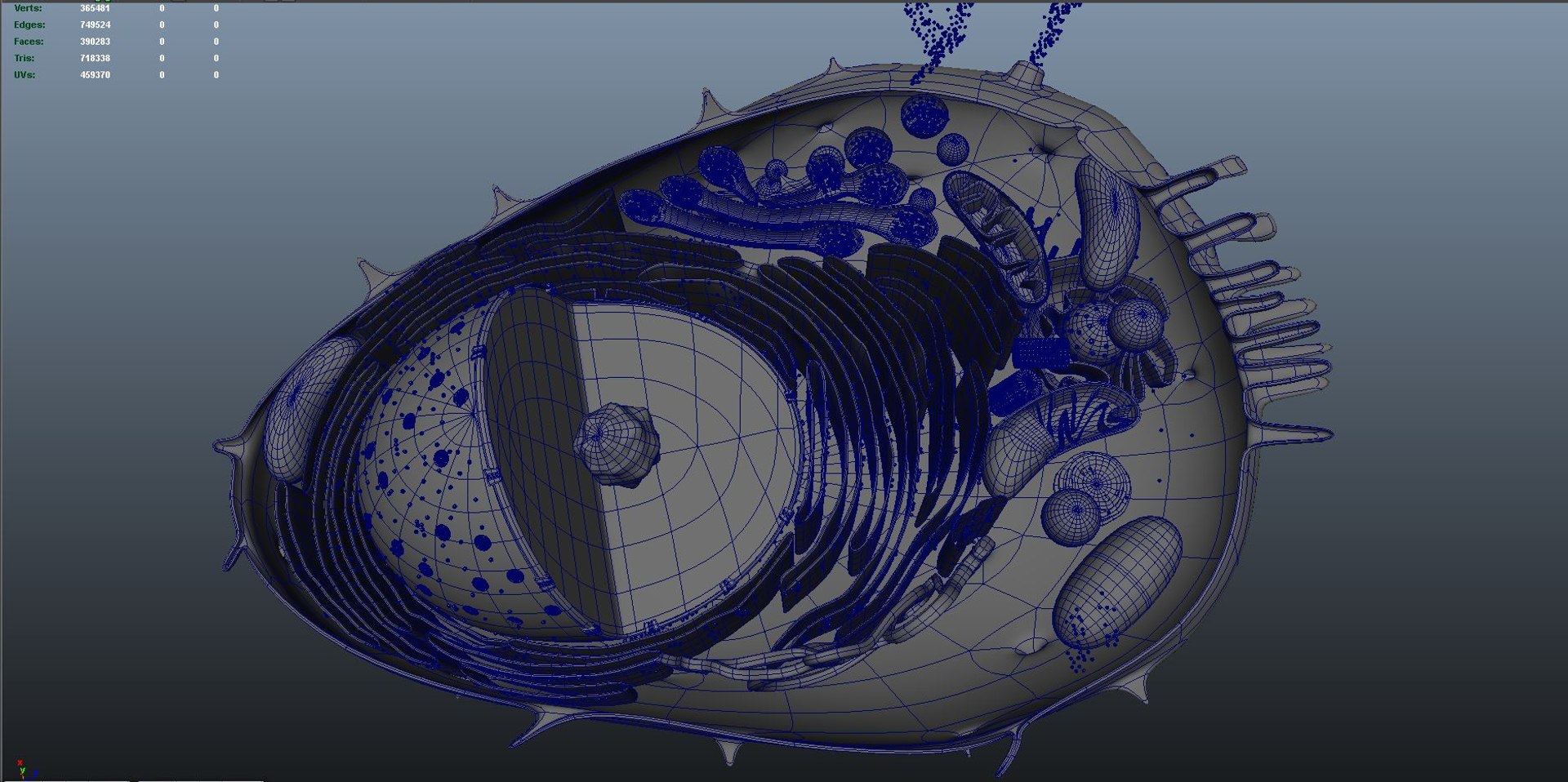 animal cell anatomy 3D model https://p.turbosquid.com/ts-thumb/zp/GdJBmK/QF/wire03/jpg/1639293261/1920x1080/fit_q87/d1351ebb802145273b1dc6dbfcc94469867ffc06/wire03.jpg