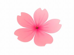 sakura flower 3D model