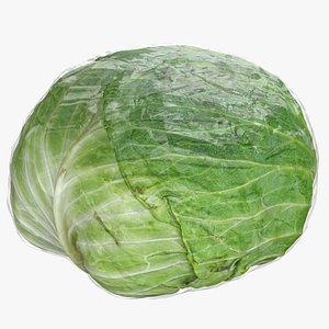 Cabbage 02 with Wrap model
