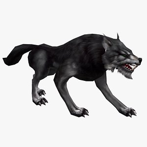 3D Animated Wolf