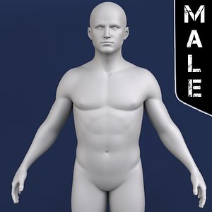 polygonal male body character 3d model