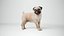 3D Pug Rigged Blender model