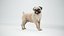 3D Pug Rigged Blender model