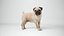 3D Pug Rigged Blender model