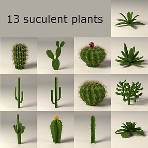 cactuses+suculents.max