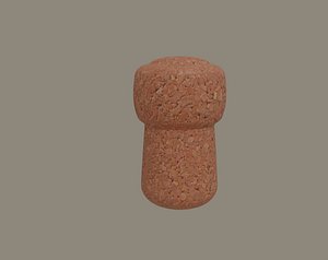 Champagne Cork