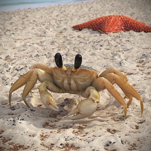 Ghost Crab Crustacean Beige Moving Pose Fur for Maya 3D model
