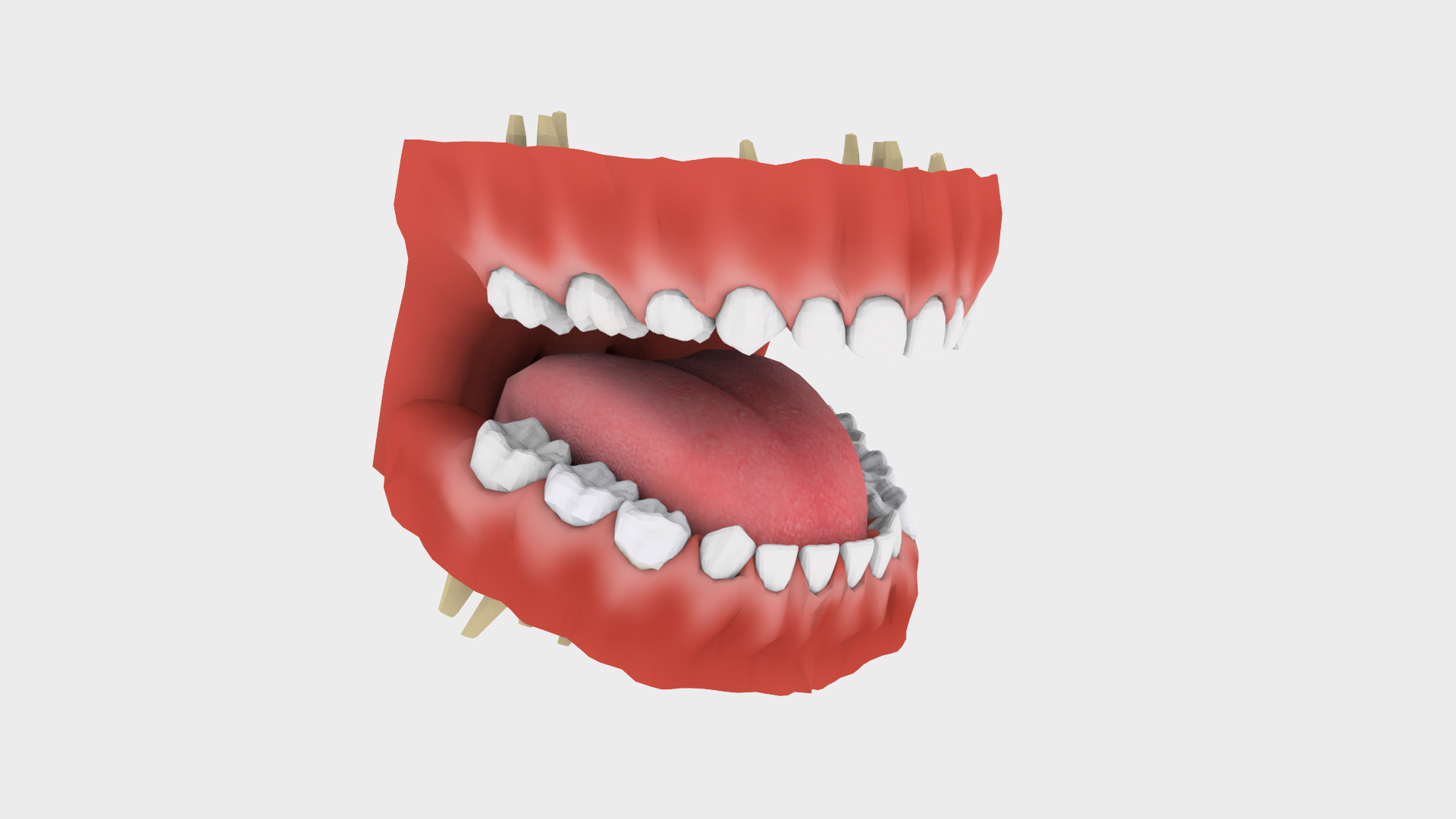 3D mouth teeth set teen - TurboSquid 1622419