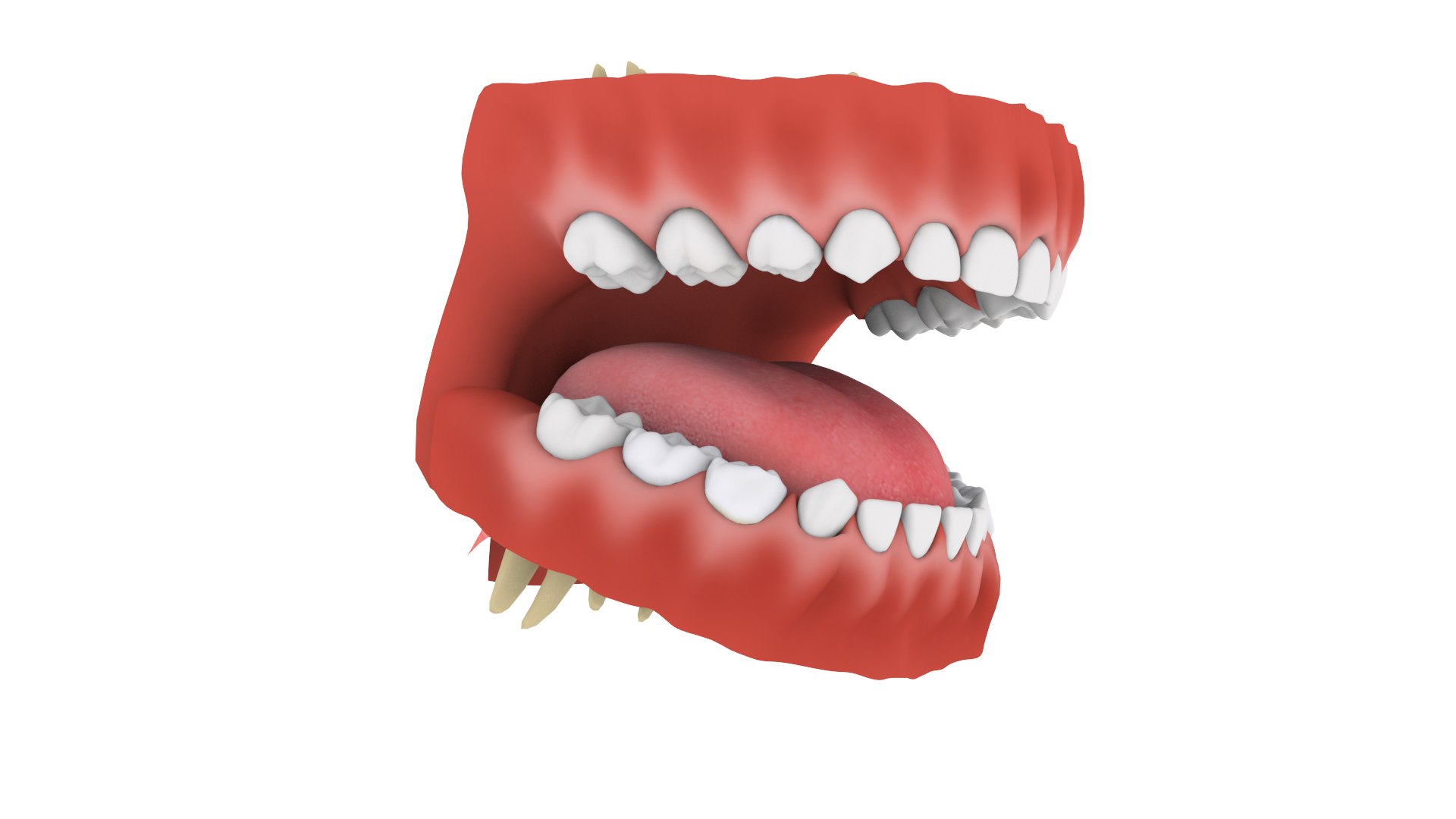 3D mouth teeth set teen - TurboSquid 1622419