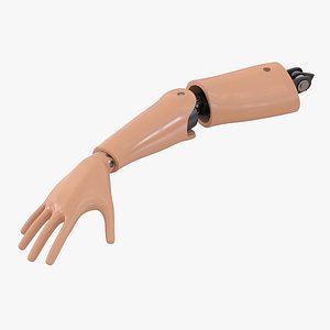 Crash Test Dummy Hand
