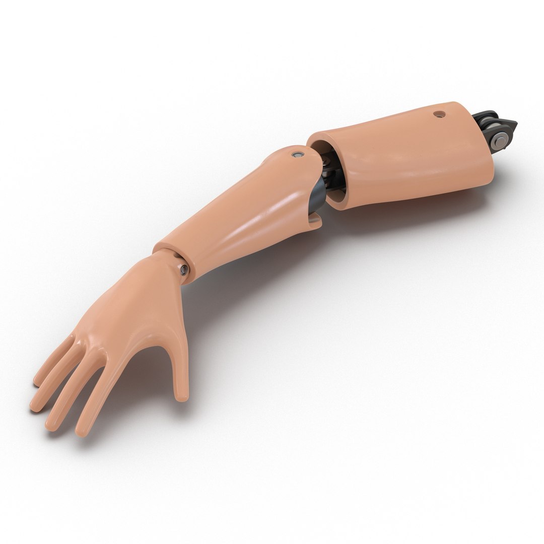 Crash Test Dummy Hand 3D model preview