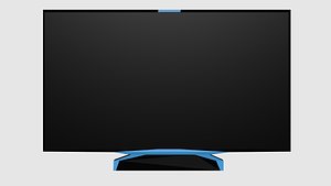 Flat Screen Television