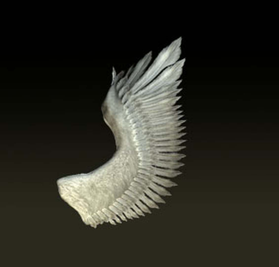 Wings Bird Angel 3d Model