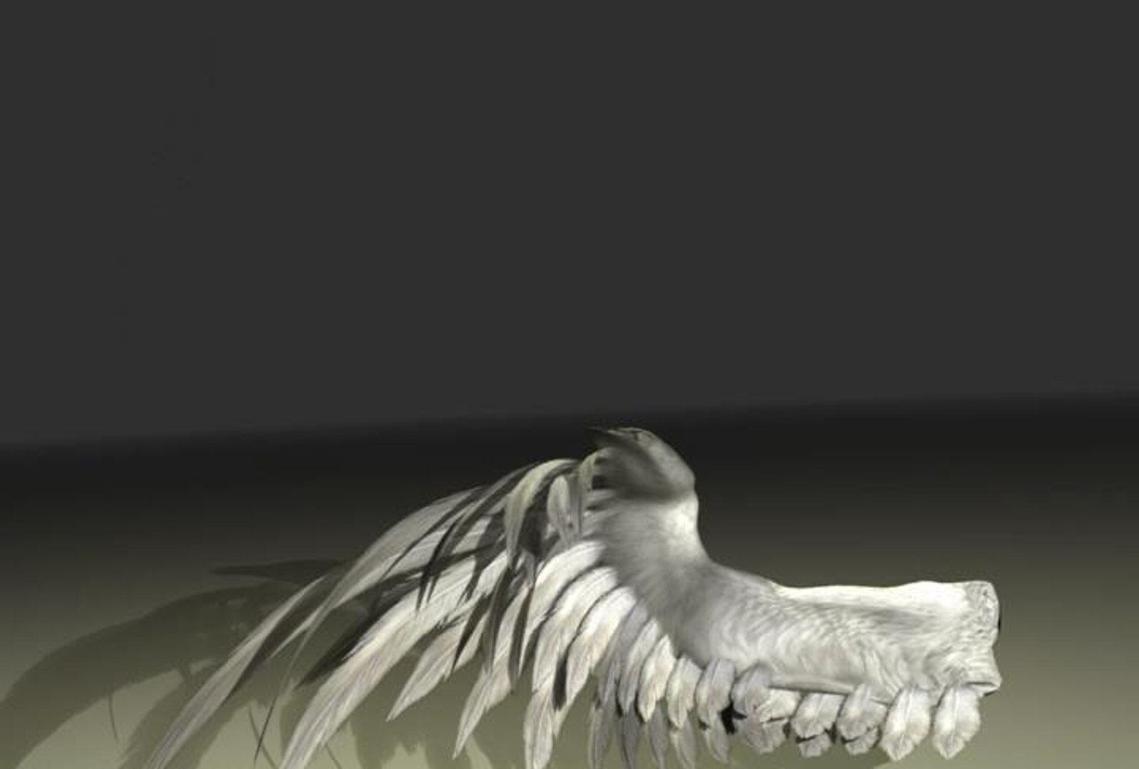 Wings Bird Angel 3d Model