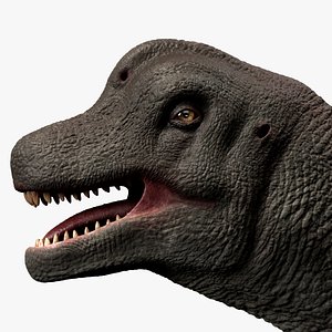 Brachiosaurus Sauropod Dinosaur