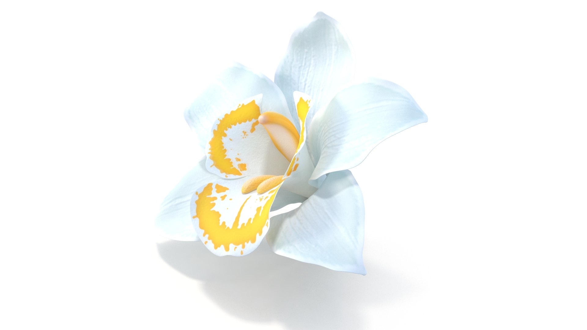 3D Realistic White Orchids Cymbidium 3D Model - High-Quality 4K PBR Asset model https://p.turbosquid.com/ts-thumb/zq/1PxJvc/4W/6/jpg/1739783486/1920x1080/fit_q87/22c3c04f8023f8ee5a56d228c3080ea82cfc05d5/6.jpg