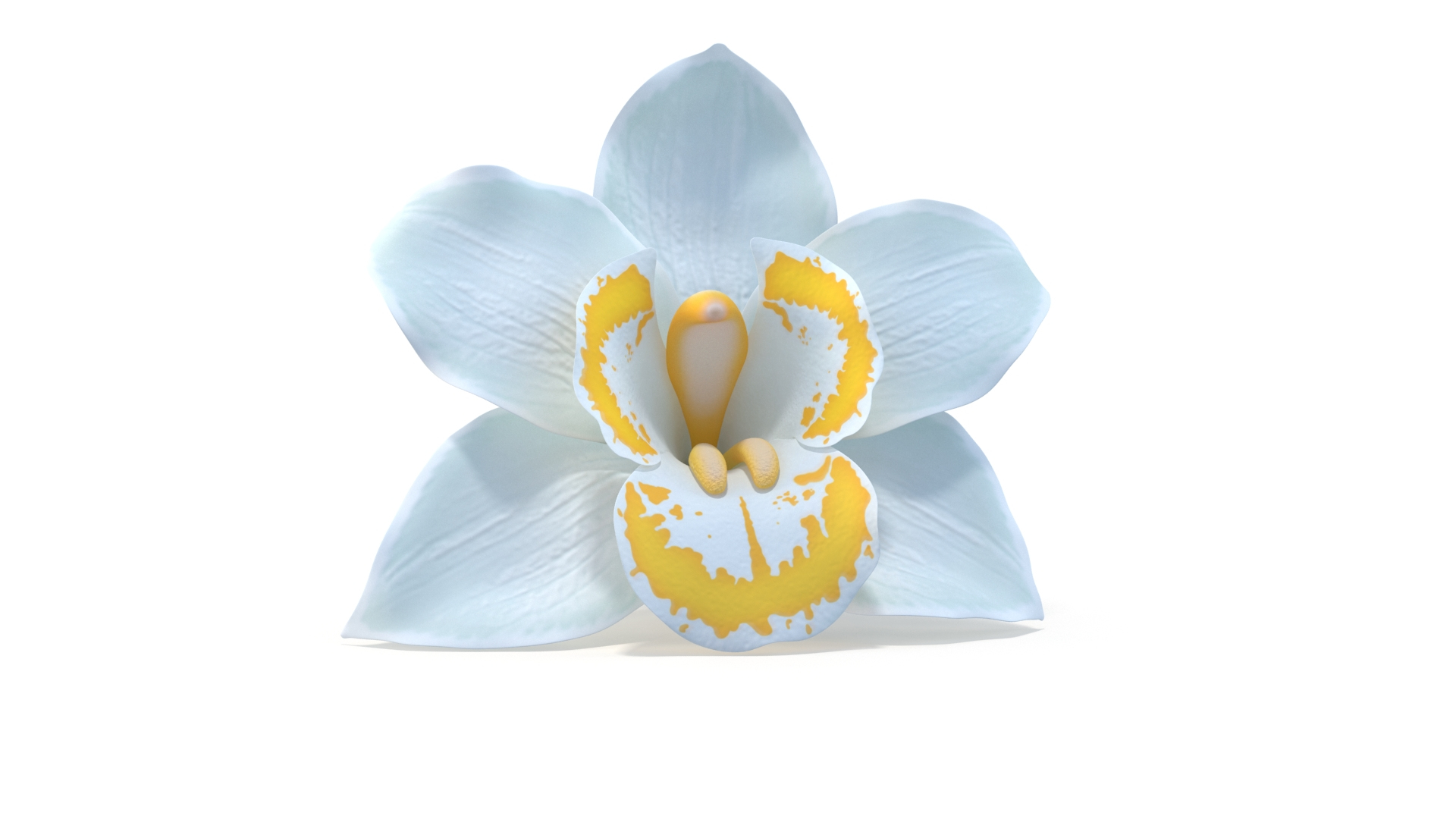 3D Realistic White Orchids Cymbidium 3D Model - High-Quality 4K PBR Asset model https://p.turbosquid.com/ts-thumb/zq/1PxJvc/bS/r/jpg/1739783771/1920x1080/turn_fit_q99/917dbdc1e0088d37ff96bb0da347b6ab57bd9814/r-1.jpg