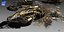 Military Wreak Collection