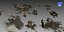 Military Wreak Collection