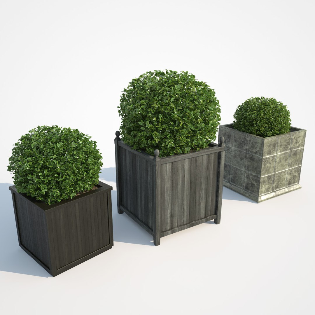 3d Model Bushes Boxes