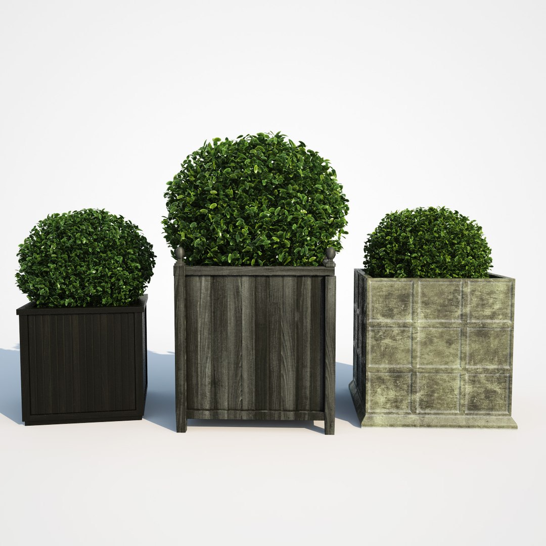 3d Model Bushes Boxes