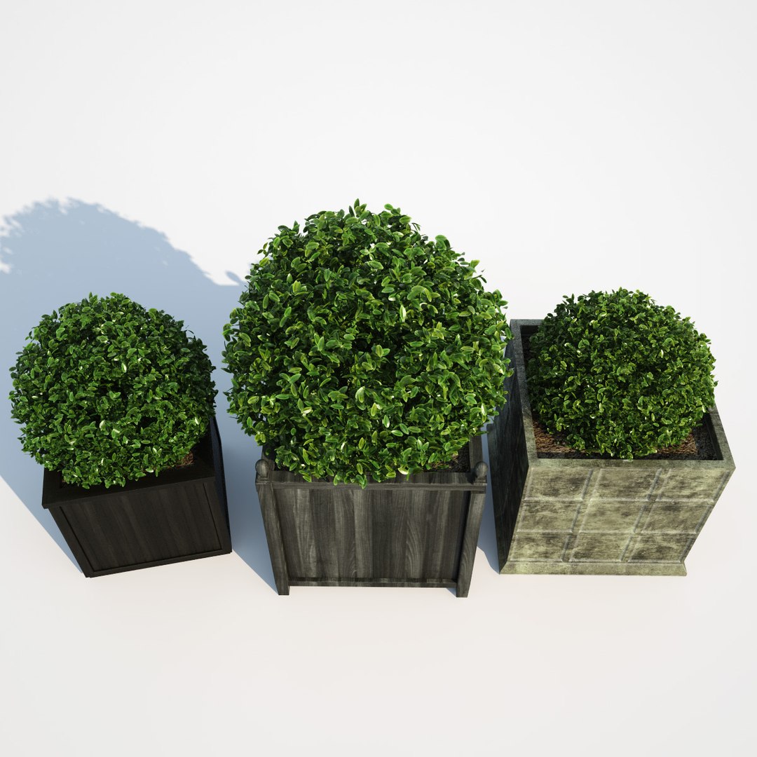 3d Model Bushes Boxes