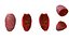 Higo chumbo rojo