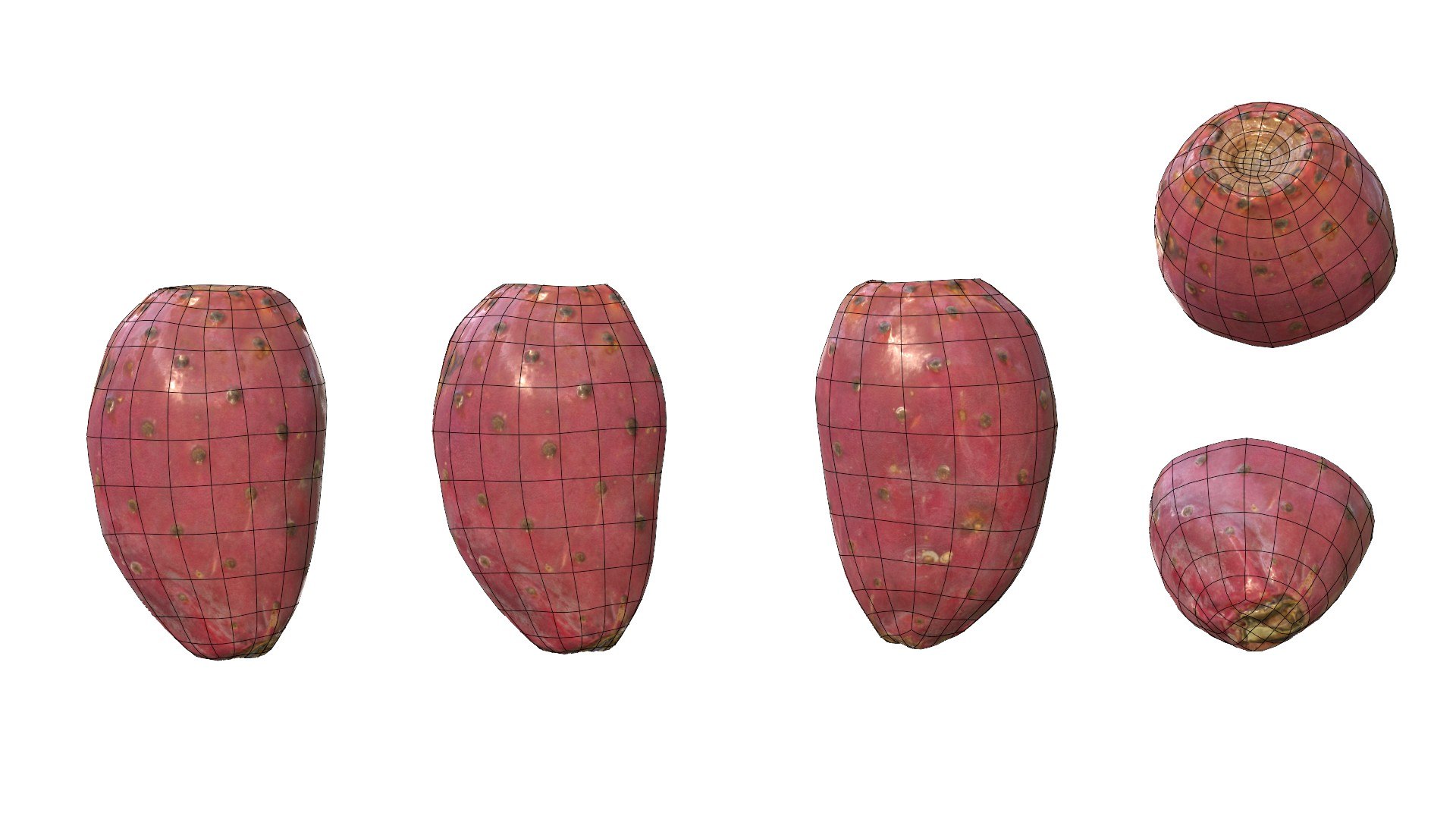 3D Prickly Pear Red model https://p.turbosquid.com/ts-thumb/zq/DbsNmv/8N/ppredwire10/jpg/1693818730/1920x1080/fit_q87/8181a139f654ed34f98308727cb9a298a102f8b3/ppredwire10.jpg