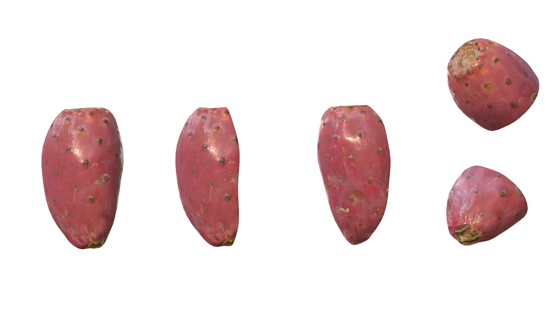 3D Prickly Pear Red model https://p.turbosquid.com/ts-thumb/zq/DbsNmv/B3/ppredimg8/jpg/1693818719/1920x1080/fit_q87/c0b355249f503029104dd2423e312306e59a7fab/ppredimg8.jpg