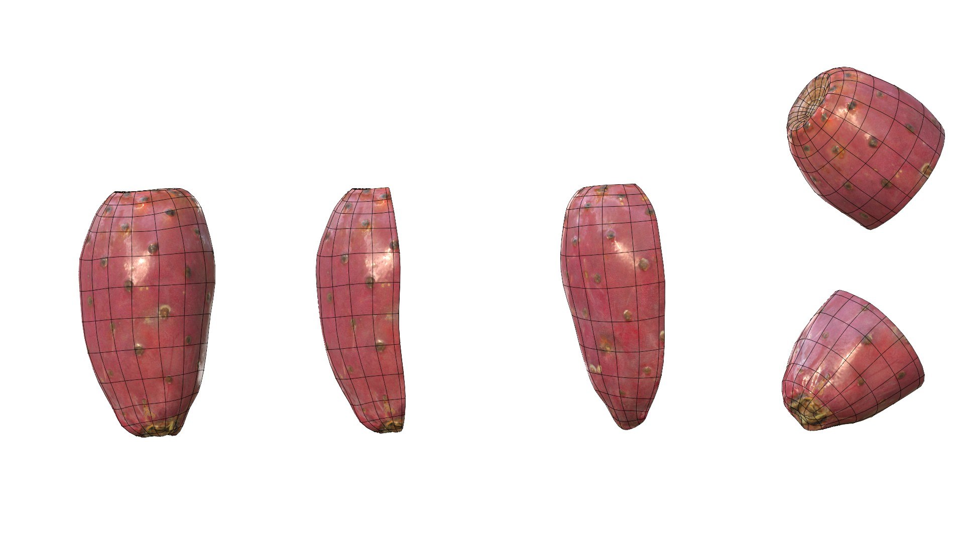 3D Prickly Pear Red model https://p.turbosquid.com/ts-thumb/zq/DbsNmv/P3/ppredwire7/jpg/1693818729/1920x1080/fit_q87/648c2524116965074c6173fe9bd3657921708851/ppredwire7.jpg