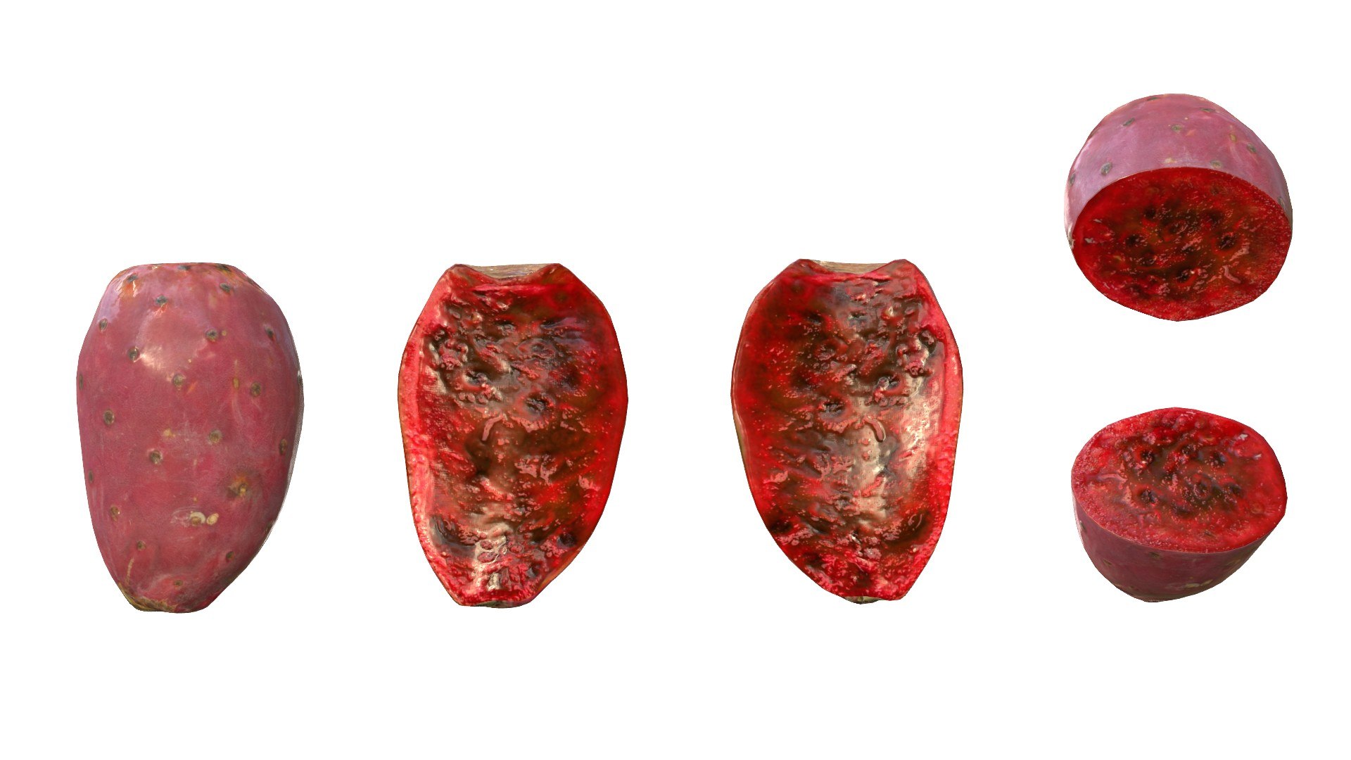 3D Prickly Pear Red model https://p.turbosquid.com/ts-thumb/zq/DbsNmv/Uw/ppredimg1/jpg/1693818715/1920x1080/fit_q87/2f26b1e3c10673d1bcd8a4bcff654450736b8183/ppredimg1.jpg