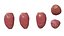 Higo chumbo rojo