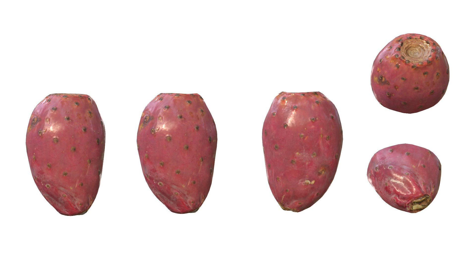 3D Prickly Pear Red model https://p.turbosquid.com/ts-thumb/zq/DbsNmv/X4/ppredimg11/jpg/1693818720/1920x1080/fit_q87/d97c6f21dcfafb38f19a10395f13c64cfeabef0d/ppredimg11.jpg