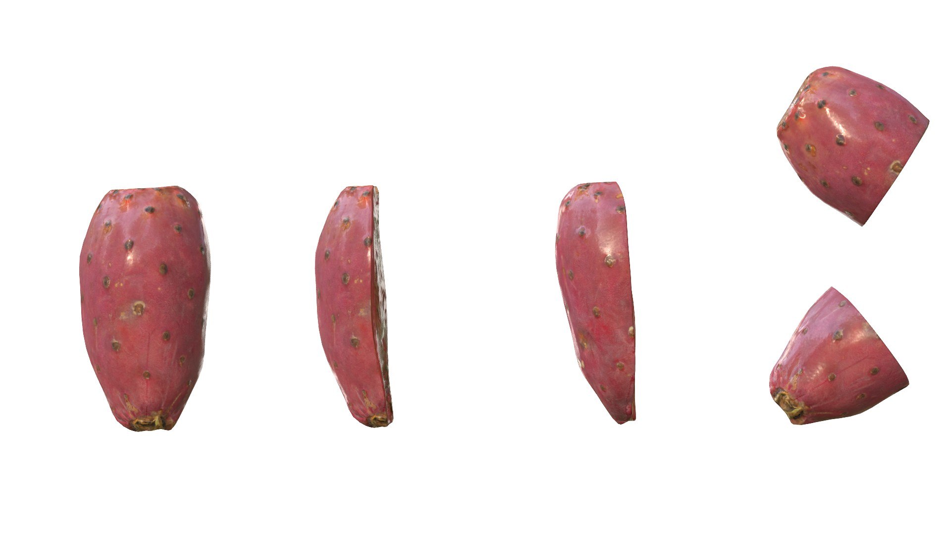 3D Prickly Pear Red model https://p.turbosquid.com/ts-thumb/zq/DbsNmv/XI/ppredimg6/jpg/1693818718/1920x1080/fit_q87/5409369343dc2029f6559925747d1b30b66d5713/ppredimg6.jpg