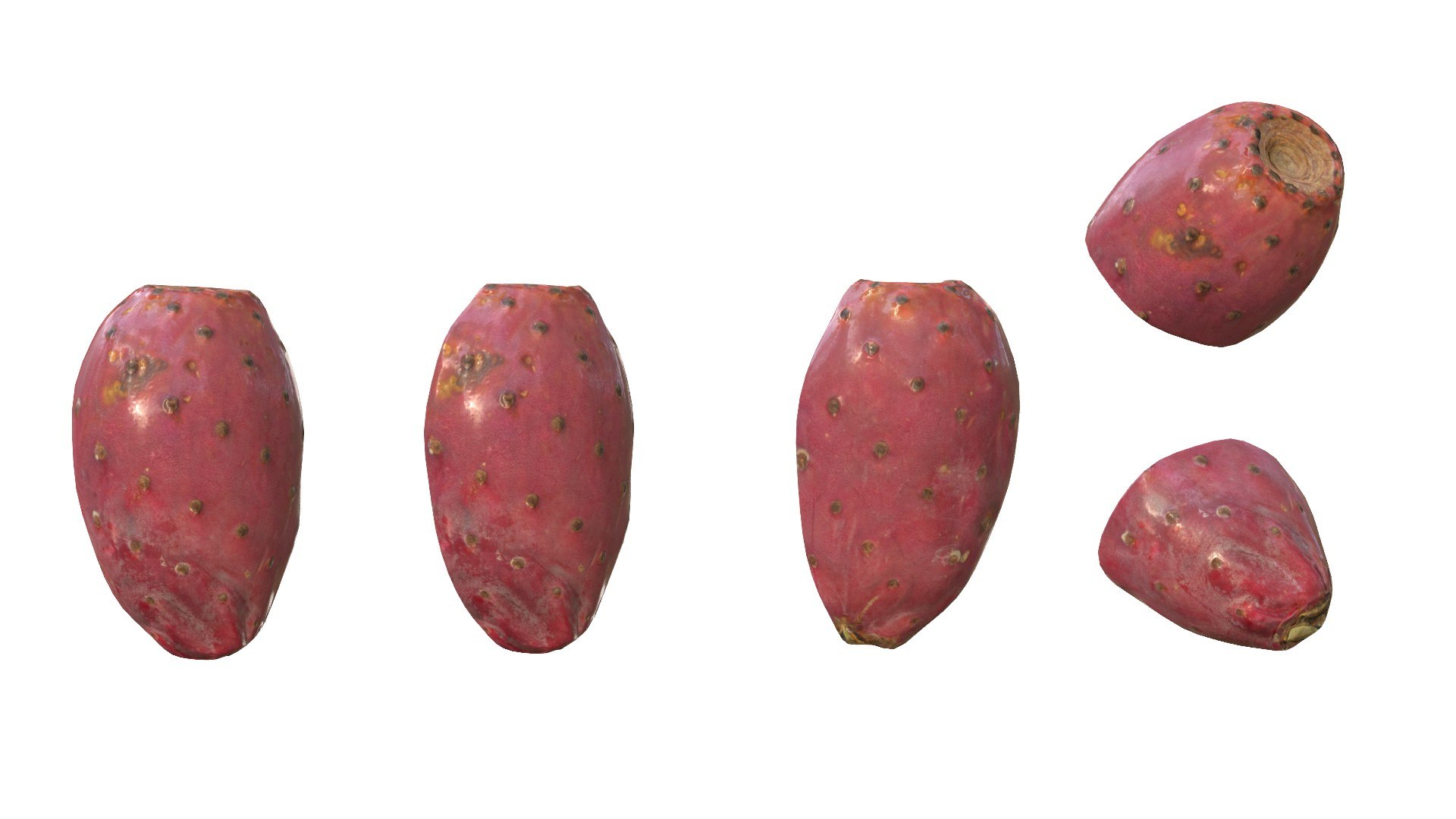 3D Prickly Pear Red model https://p.turbosquid.com/ts-thumb/zq/DbsNmv/cg/ppredimg13/jpg/1693818721/1920x1080/fit_q87/1947e5bedf6db1b4225b8ae402904810eb826e69/ppredimg13.jpg