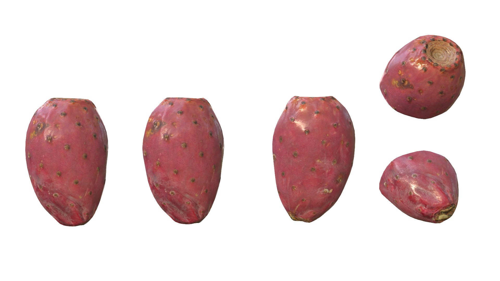 3D Prickly Pear Red model https://p.turbosquid.com/ts-thumb/zq/DbsNmv/ea/ppredimg12/jpg/1693818722/1920x1080/fit_q87/29de20de5ac40eed4913cb0bf2820cb74380ce4c/ppredimg12.jpg
