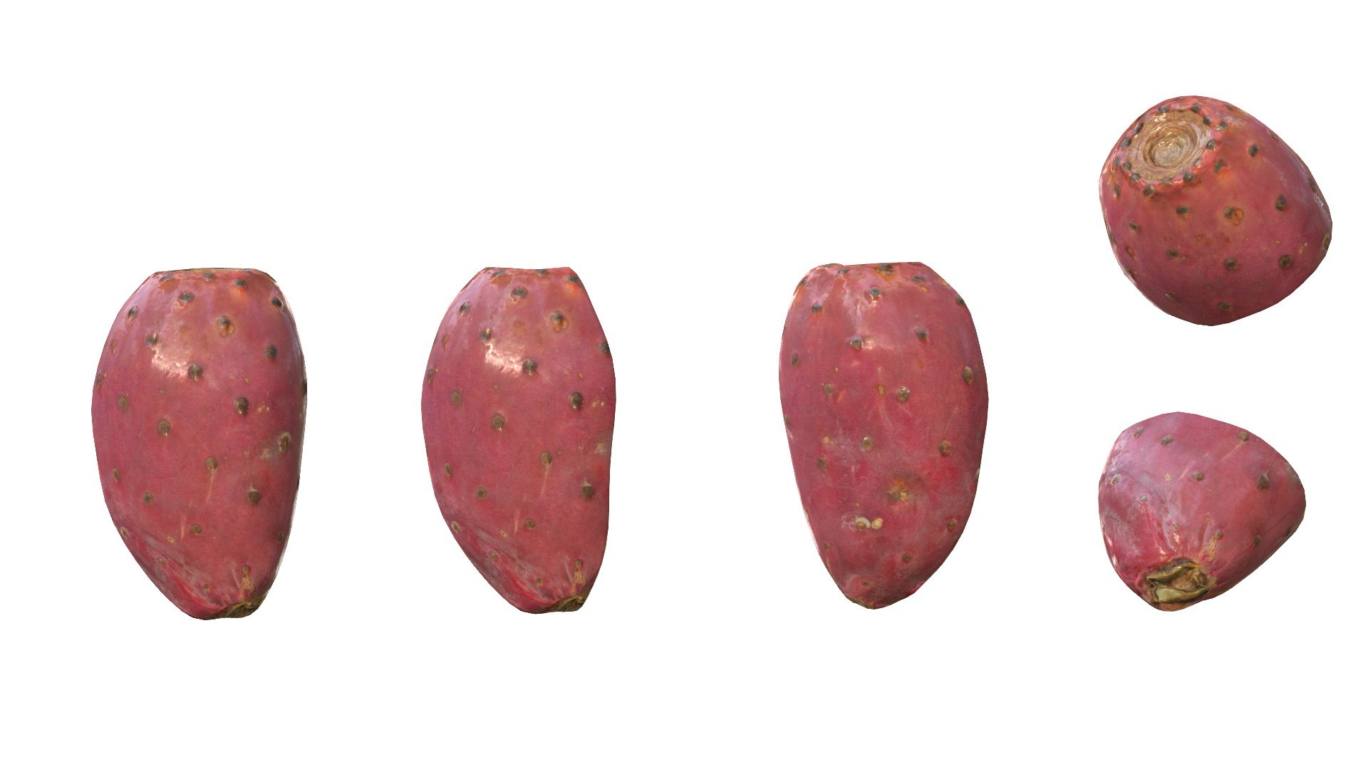3D Prickly Pear Red model https://p.turbosquid.com/ts-thumb/zq/DbsNmv/em/ppredimg9/jpg/1693818720/1920x1080/fit_q87/ec617edeec21c9c58d4018087240b24bc2e9d244/ppredimg9.jpg