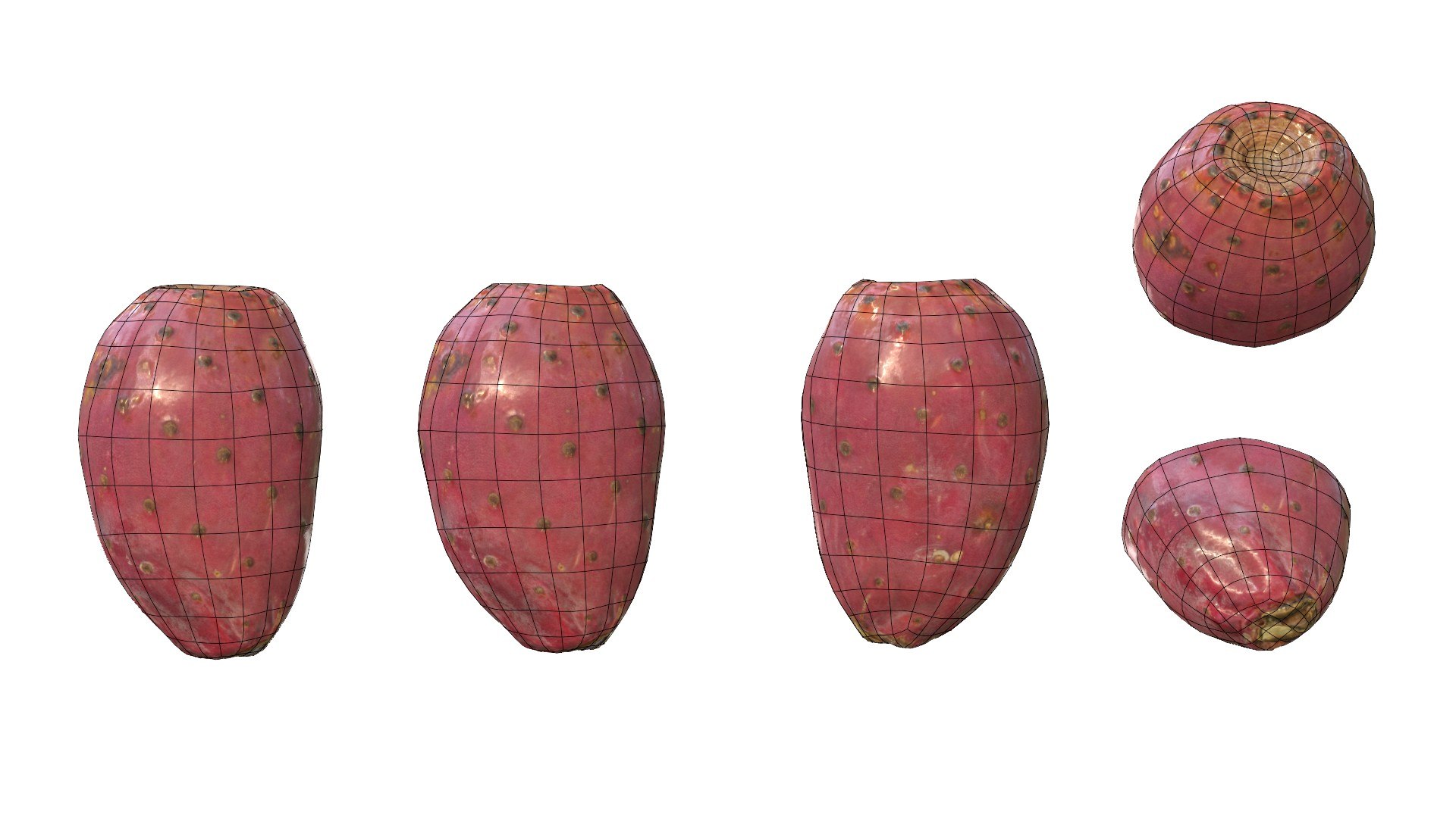 3D Prickly Pear Red model https://p.turbosquid.com/ts-thumb/zq/DbsNmv/jb/ppredwire11/jpg/1693818731/1920x1080/fit_q87/acac0e0ca6f5257a82b66468ced14b587f6532d6/ppredwire11.jpg
