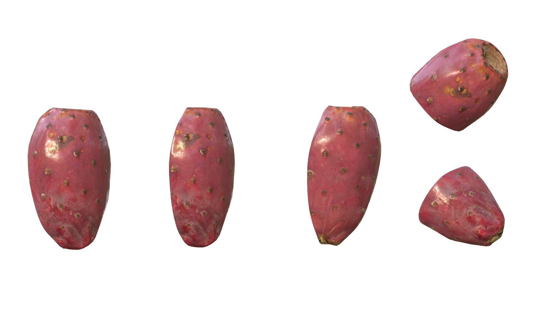 3D Prickly Pear Red model https://p.turbosquid.com/ts-thumb/zq/DbsNmv/mq/ppredimg14/jpg/1693818722/1920x1080/fit_q87/c3b50c5f5f8895084ce832b8d004f5092c513d92/ppredimg14.jpg