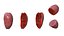 Higo chumbo rojo