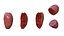 Higo chumbo rojo