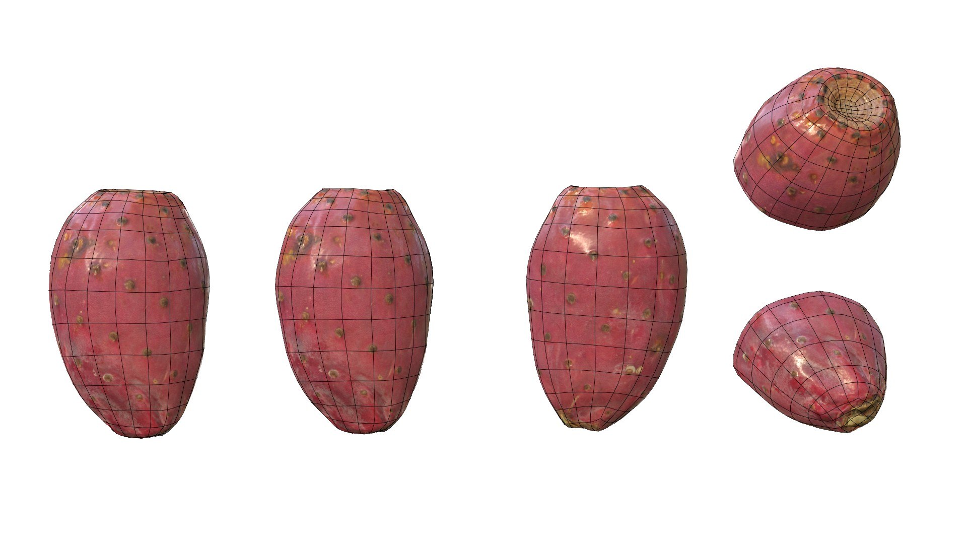 3D Prickly Pear Red model https://p.turbosquid.com/ts-thumb/zq/DbsNmv/rh/ppredwire12/jpg/1693818731/1920x1080/fit_q87/3099bf7b70953d792fb12f4a0990c17c97e60a69/ppredwire12.jpg