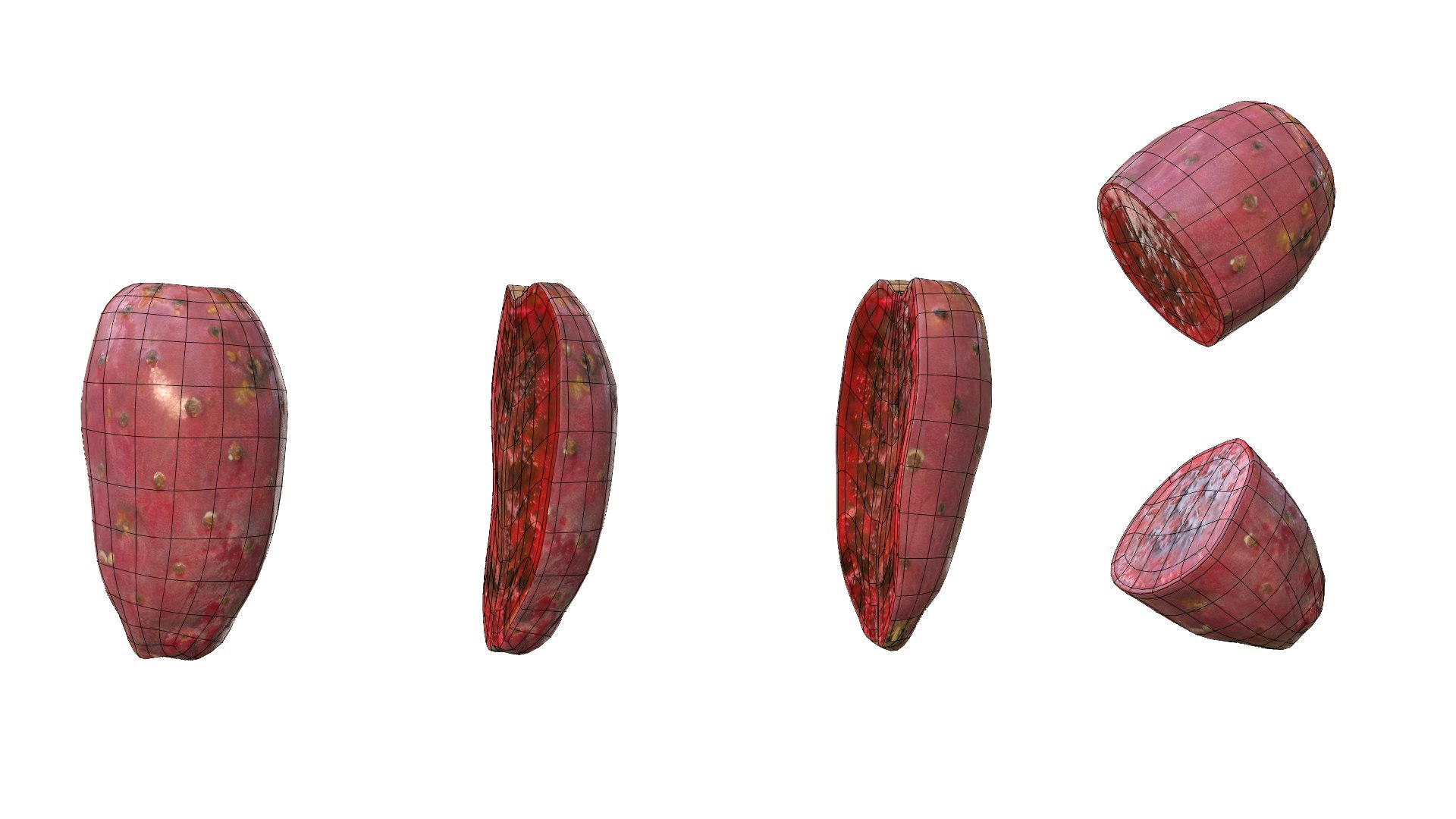 3D Prickly Pear Red model https://p.turbosquid.com/ts-thumb/zq/DbsNmv/t8/ppredwire17/jpg/1693818734/1920x1080/fit_q87/60326e13ec1c225641542ff68b59b3ae2a83ecad/ppredwire17.jpg
