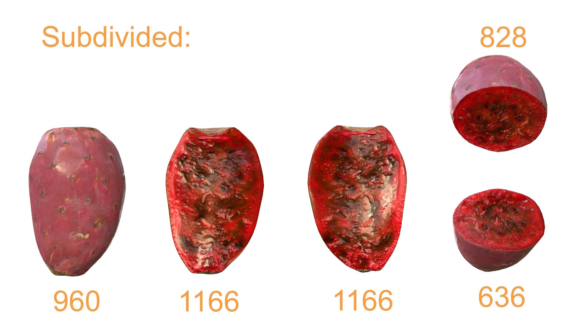 3D Prickly Pear Red model https://p.turbosquid.com/ts-thumb/zq/DbsNmv/v6/ppredimgsubdivided/jpg/1693818726/1920x1080/fit_q87/6a2917d6d037638891e874caf141f12c8140d2a8/ppredimgsubdivided.jpg